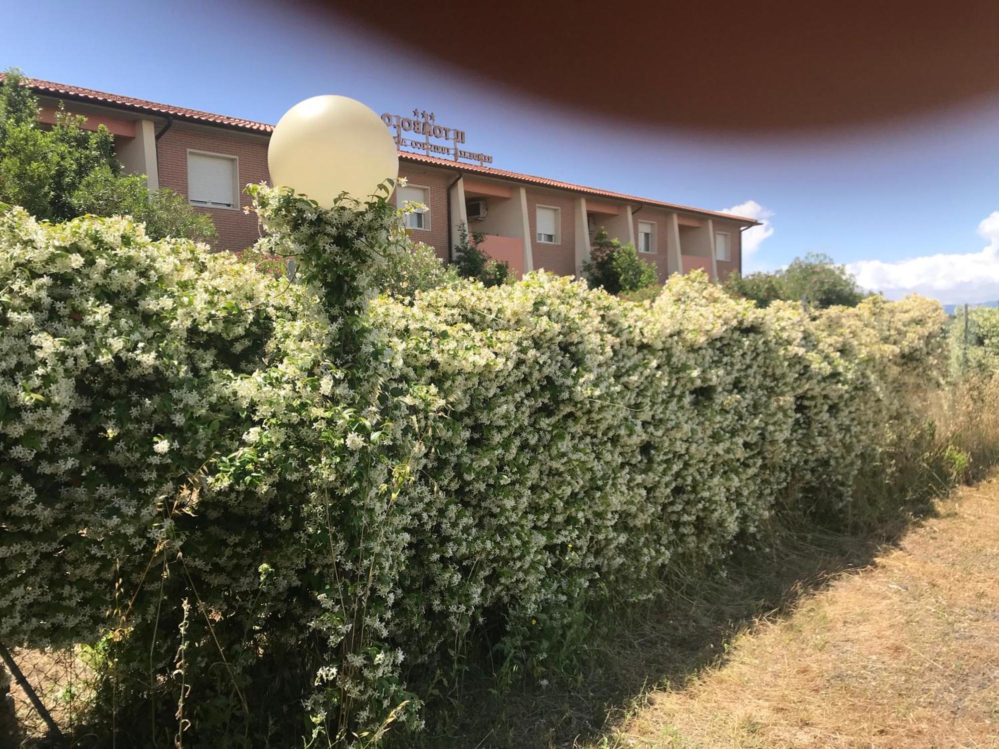 Residence Il Tombolo Principina a Mare Eksteriør bilde